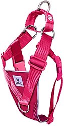 WildHound No-Pull Premium Martingale Dog Harness, Azalea, Large