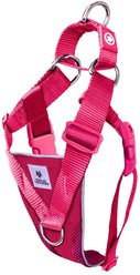 WildHound No-Pull Premium Martingale Dog Harness, Azalea, Small slide 1 of 2