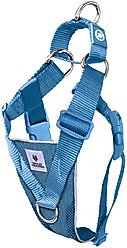 WildHound No-Pull Premium Martingale Dog Harness, Teal, Small