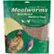 Show in main carousel: Wildlife Sciences Dried Mealworms, 21-oz bag slide 1 of 9