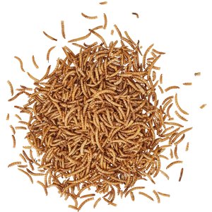 Wildlife Sciences Dried Mealworms, 21-oz bag