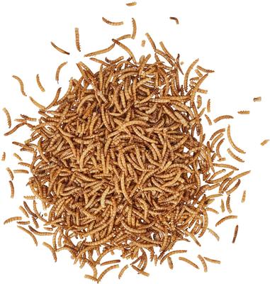 Show full view: Wildlife Sciences Dried Mealworms, 21-oz bag slide 3 of 9