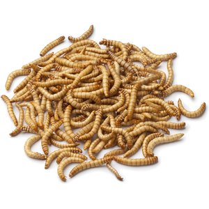 Wildlife Sciences Dried Mealworms, 21-oz bag