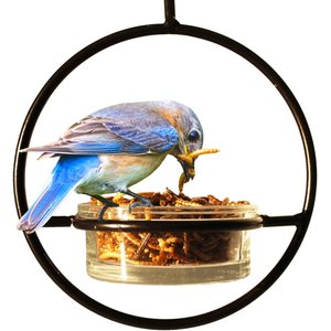 Wildlife Sciences Dried Mealworms, 21-oz bag