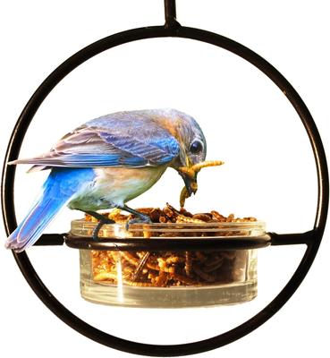 Show full view: Wildlife Sciences Dried Mealworms, 21-oz bag slide 8 of 9