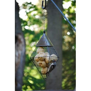 Wildlife Sciences Fruit & Nut Suet Balls Wild Bird Food, 6 count