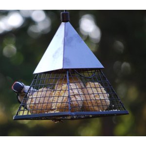 Wildlife Sciences Fruit & Nut Suet Balls Wild Bird Food, 6 count