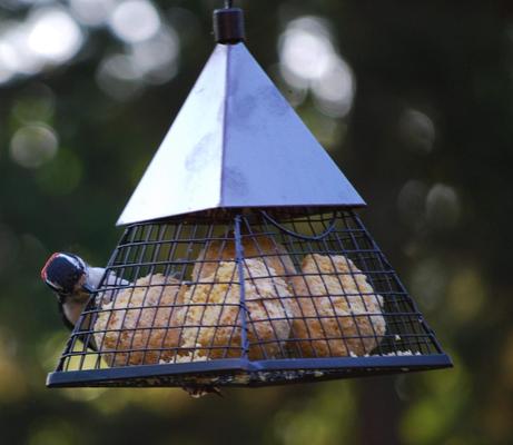 Show full view: Wildlife Sciences Fruit & Nut Suet Balls Wild Bird Food, 6 count slide 7 of 8