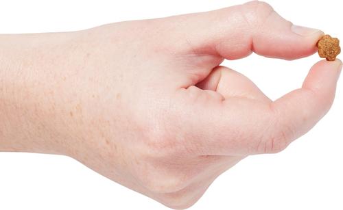 Show full view: Wildly Natural Salmon Flavor Cat Treats, 2.5-oz bag slide 4 of 6