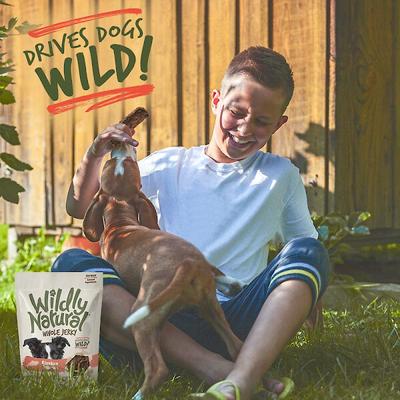 Show full view: Wildly Natural Whole Jerky Alaskan Salmon Grain-Free Dog Treats, 5-oz bag slide 7 of 8