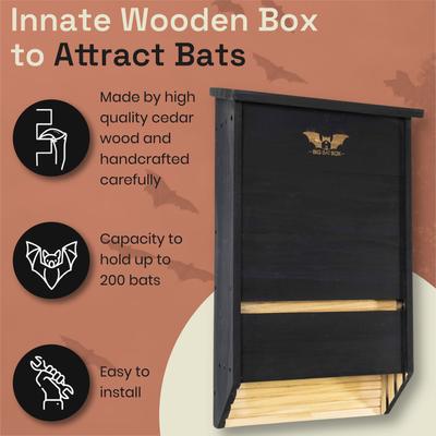 Show full view: WildYard 3 Chamber Big Bat Box House, 27x 15.5 x 6.5-in, Black slide 5 of 9