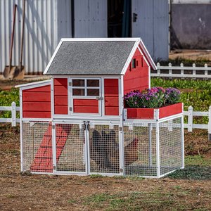 Win World Blooming Chicken Coop, 3 to 4 Chicken Capacity, Red & White