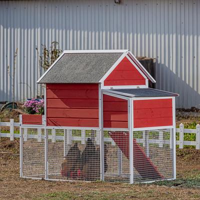 Show full view: Win World Blooming Chicken Coop, 3 to 4 Chicken Capacity slide 8 of 9