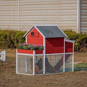 Win World Blooming Chicken Coop, 3 to 4 Chicken Capacity, Red & White