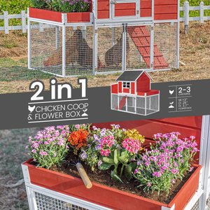Win World Blooming Chicken Coop, 3 to 4 Chicken Capacity, Red & White