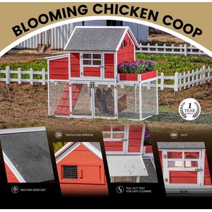 Win World Blooming Chicken Coop, 3 to 4 Chicken Capacity, Red & White