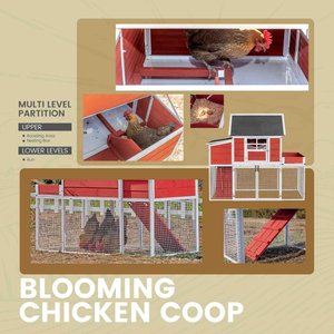 Win World Blooming Chicken Coop, 3 to 4 Chicken Capacity, Red & White