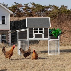 Win World Blooming Chicken Coop, Black slide 1 of 7