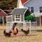 Show in main carousel: Win World Blooming Chicken Coop, Black slide 2 of 7