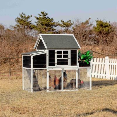 Show full view: Win World Blooming Chicken Coop, Black slide 4 of 7