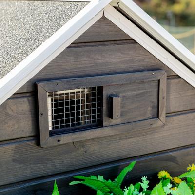 Show full view: Win World Blooming Chicken Coop, Black slide 3 of 7