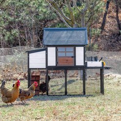 Win World Blooming Chicken Coop, White