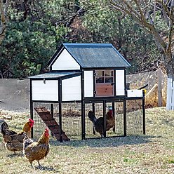 Win World Blooming Chicken Coop, White slide 2 of 4