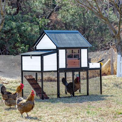 Show full view: Win World Blooming Chicken Coop, White slide 2 of 4