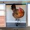Show in main carousel: Win World Blooming Chicken Coop, White slide 4 of 4