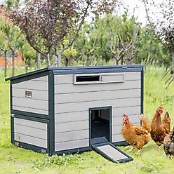 Win World Free-Range Chicken Coop, 2 to 4 Chicken Capacity