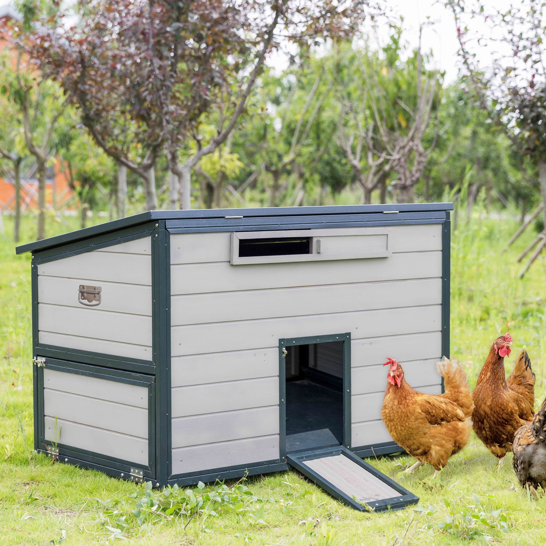 Win World Free-Range Chicken Coop, 2 to 4 Chicken Capacity