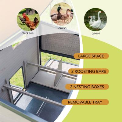 Show full view: Win World Free-Range Chicken Coop, 2 to 4 Chicken Capacity slide 5 of 9