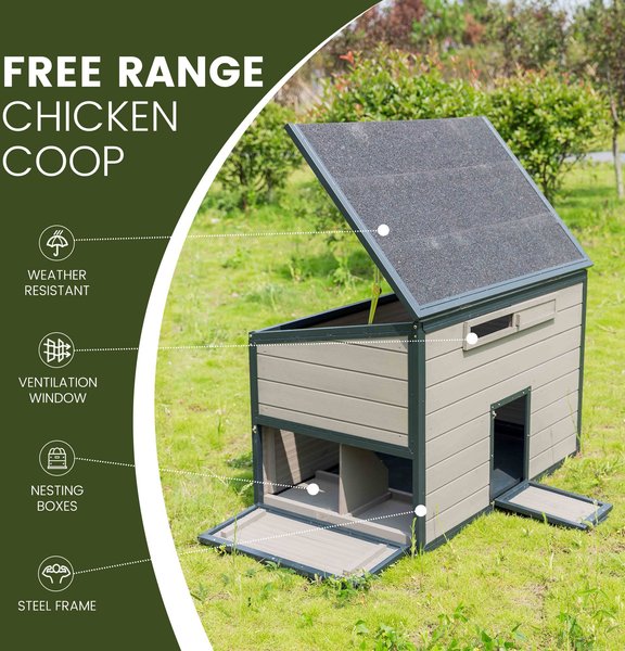 Win World Free-Range Chicken Coop, 2 to 4 Chicken Capacity