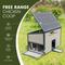 Show in main carousel: Win World Free-Range Chicken Coop, 2 to 4 Chicken Capacity slide 3 of 9