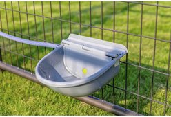 Win World Gazebo Automatic Dog & Cat Feeder, Grey, Large