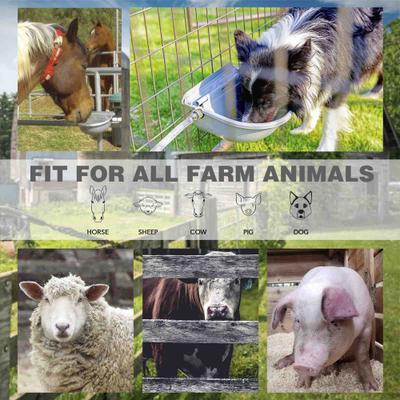 Show full view: Win World Gazebo Automatic Dog & Cat Feeder, Grey, Large slide 7 of 7