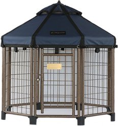 Win World International Pet Gazebo Dog Kennel, Cobalt Sky, 3-ft