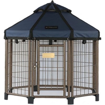 Win World Win World International Pet Gazebo Dog Kennel, Cobalt Sky, 3-ft