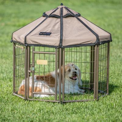 Show full view: Win World International Pet Gazebo Dog Kennel, Cobalt Sky, 3-ft slide 3 of 6
