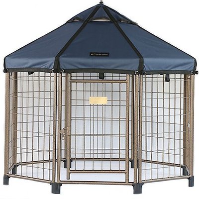 Win World Win World International Pet Gazebo Dog Kennel, Cobalt Sky, 4-ft