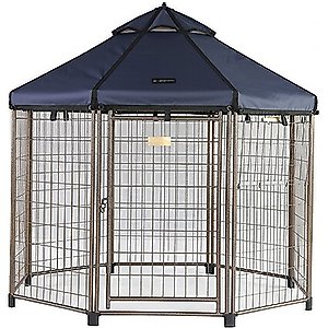 Win World International Pet Gazebo Dog Kennel, Cobalt Sky, 5-ft