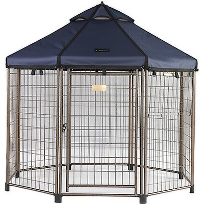 Win World Win World International Pet Gazebo Dog Kennel, Cobalt Sky, 5-ft