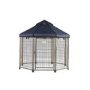 Win World International Pet Gazebo Dog Kennel, Cobalt Sky, 5-ft