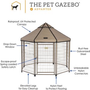 Win World International Pet Gazebo Dog Kennel, Cobalt Sky, 5-ft