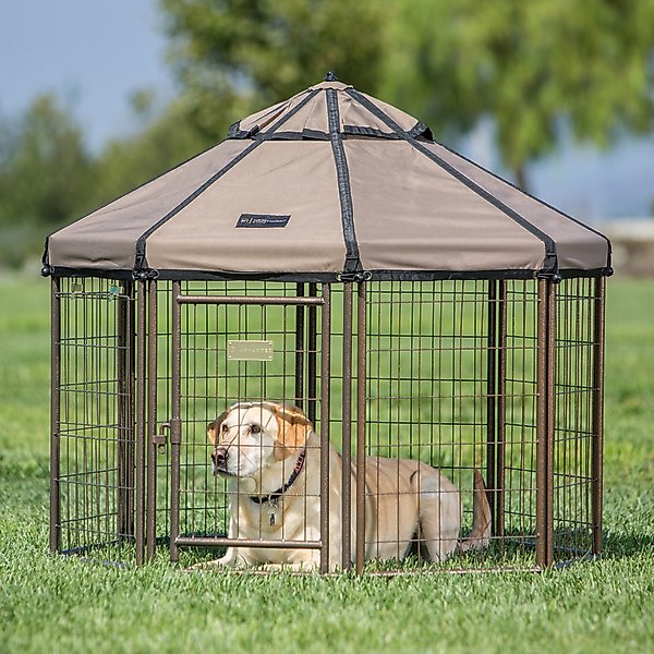 Show full view: Win World International Pet Gazebo Dog Kennel, Earth Taupe, 4-ft slide 3 of 7