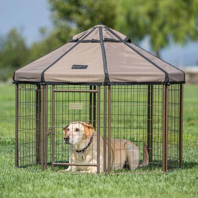 Show full view: Win World International Pet Gazebo Dog Kennel, Earth Taupe, 4-ft slide 4 of 8