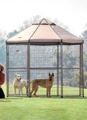 Show full view: Win World Pet Gazebo Dog Kennel, Earth Taupe, 8-ft slide 2 of 9