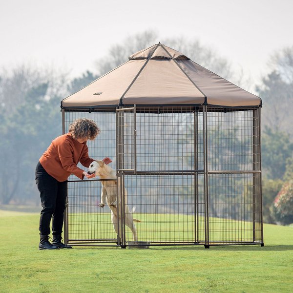 Win World Pet Gazebo Dog Kennel, Earth Taupe, 8-ft