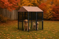 Win World Universal Pet Outdoor Cage, Medium