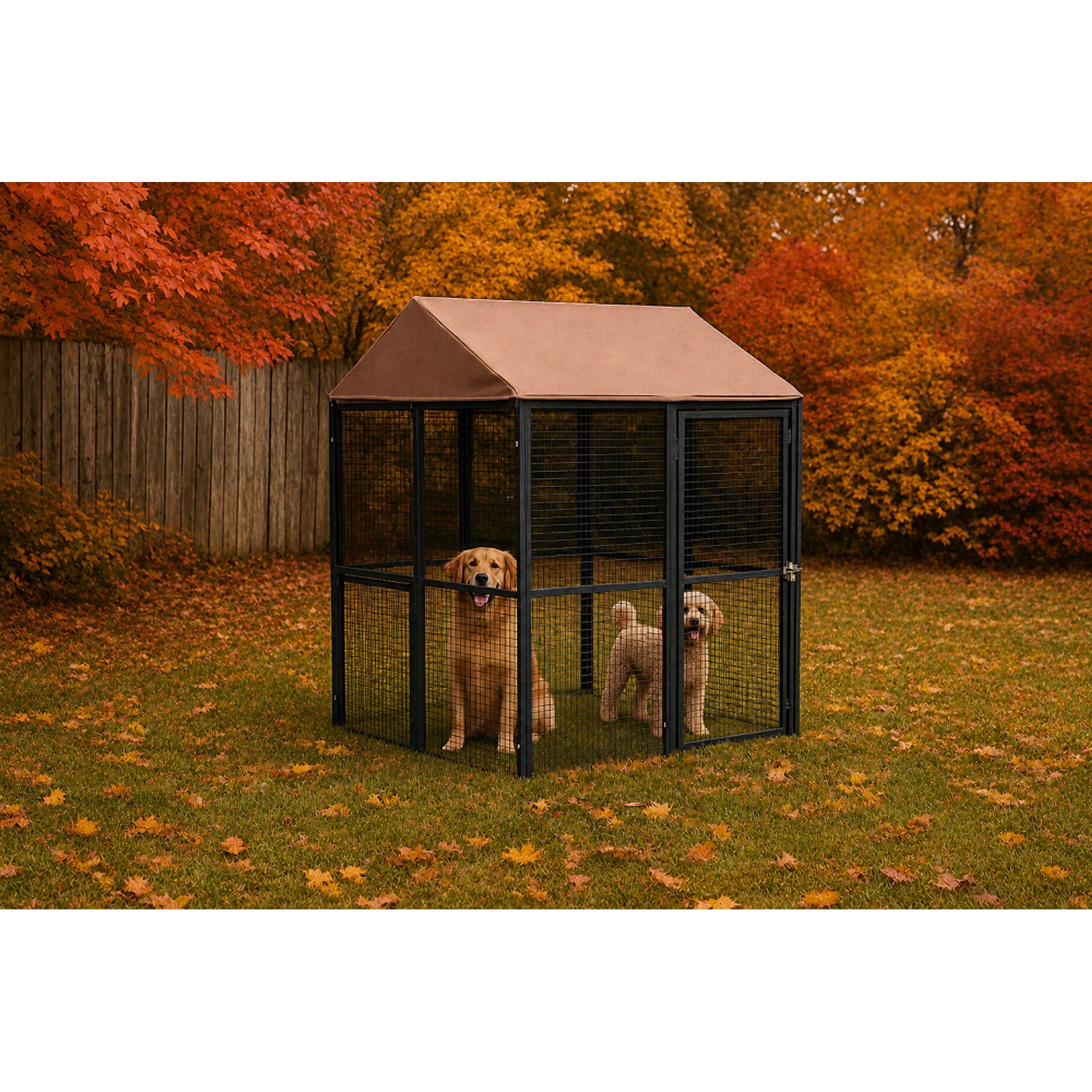 Win World Universal Pet Outdoor Cage, Medium